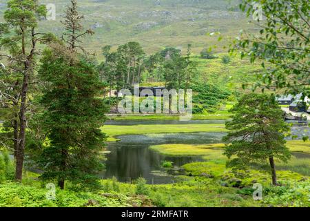 Das Pines Spa im Glen Affric Estate Stockfoto