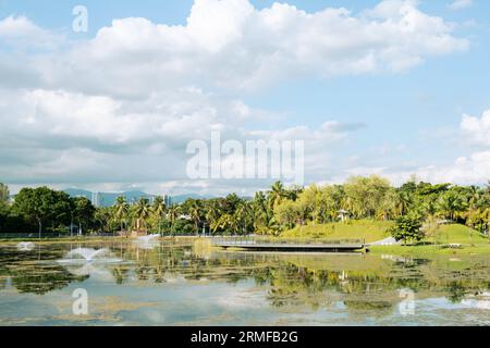 Taman Tasik Titiwangsa Park, See und Palme in Kuala Lumpur, Malaysia Stockfoto