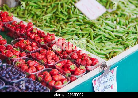 Frische Erdbeeren, grüne Erbsen und Blaubeeren zum Verkauf auf dem lokalen Lebensmittelmarkt in Helsinki, Finnland Stockfoto