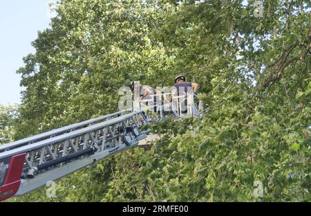 Bergamo, Italien. 28. August 2023. Schlechtes Wetter in der Lombardei engagierten sich Feuerwehrleute 24 Stunden am Tag, um die Stadt nach einem weiteren heftigen atmosphärischen Ereignis in der Stadt zu sichern. Quelle: Unabhängige Fotoagentur/Alamy Live News Stockfoto