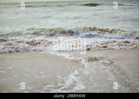 Sandstrand in Egmond aan zee in der Nähe von Alkmaar, Nordholland, Niederlande Stockfoto