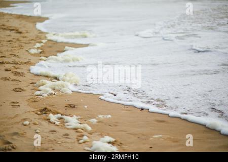 Sandstrand in Egmond aan zee in der Nähe von Alkmaar, Nordholland, Niederlande Stockfoto