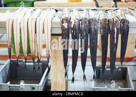 Atlantische Largehead Hairtails (auch espada genannt) auf dem traditionellen Fischmarkt Mercado dos Lavradores in Funchal, Madeira Insel, Portuga Stockfoto