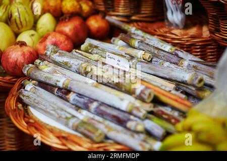 Grüne Zuckerstangen auf dem traditionellen Bauernmarkt Mercado dos Lavradores, Funchal, Madeira, Portugal Stockfoto