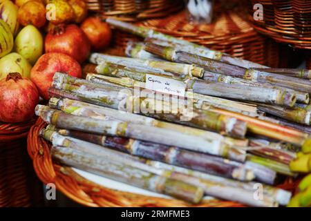 Grüne Zuckerstangen auf dem traditionellen Bauernmarkt Mercado dos Lavradores, Funchal, Madeira, Portugal Stockfoto