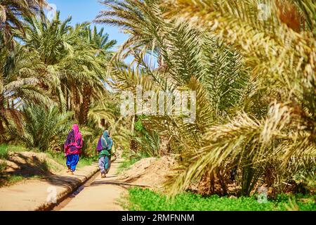 Zwei berberfrauen in Nationalkleidung, die in der Oase des Dorfes Merzouga in der Sahara, Marokko, spazieren Stockfoto