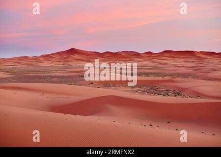 Wunderschöner Sonnenuntergang am frühen Morgen in der Sahara Wüste, Merzouga, Marokko Stockfoto