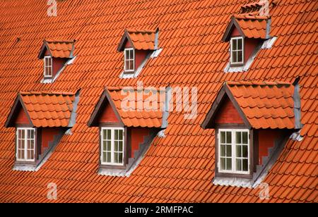 Rotes Ziegeldach und Garrets Stockfoto
