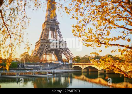Malerischer Blick auf den Eiffelturm und die Ienabrücke über die seine mit Zweigen mit ersten Blättern am frühen Morgen. Frühling in Paris, Frankreich Stockfoto