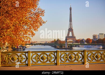 Malerischer Blick auf den Eiffelturm über die seine von der Mirabeau-Brücke an einem hellen Herbsttag in Paris, Frankreich Stockfoto
