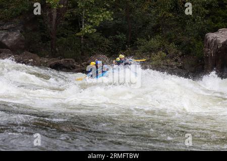 Die abenteuerlustigen Kajakfahrer paddeln durch die rauen Stromschnellen am Gauley River in West Virginia Stockfoto