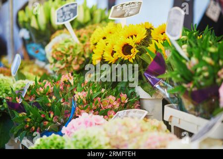 Sonnenblumen zum Verkauf auf dem lokalen Blumenmarkt in Paris, Frankreich Stockfoto