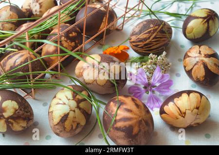 Zubereitung von Eiern für Ostern, Färben erfolgt mit natürlichen Zutaten aus Gräsern und Kräutern Stockfoto