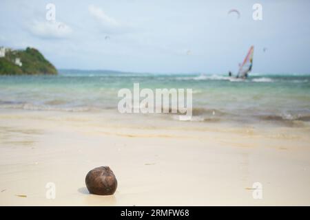Kokosnuss am Strand und Surfer im Hintergrund Stockfoto