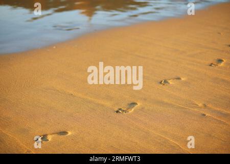 Fußabdrücke bei Sonnenuntergang mit goldenem Sand. Strand, Wellen und Fußspuren bei Sonnenuntergang Stockfoto