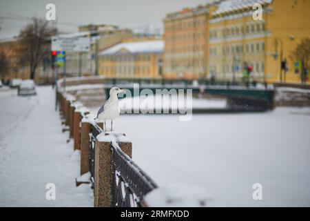 Moyka-Flussufer an einem kalten, schneebedeckten Wintertag in Sankt Petersburg, Russland Stockfoto