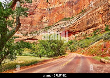 Straße im Zion-Nationalpark, Utah, USA Stockfoto