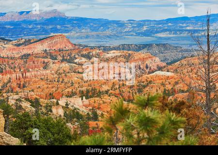 Malerischer Blick auf atemberaubende rote, orange, rosa und gelbe Sandstein Hoodoos im Bryce Canyon National Park in Utah, USA Stockfoto