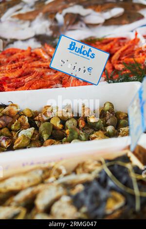 Frische Buccinidae Schnecken auf dem Bauernmarkt in Paris, Frankreich. Typischer europäischer Fischmarkt Stockfoto
