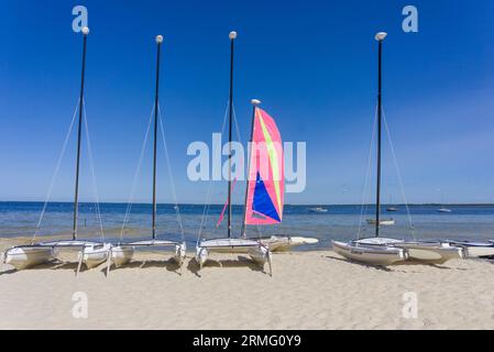 Mehrere Katamarane am Strand von Arcachon, in der Nähe von Bordeaux in Frankreich, mit bunten Segeln. Klarer Sommerhimmel, dunkelblaues Wasser und Strand. Stockfoto