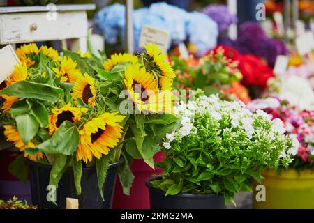 Sonnenblumen zum Verkauf auf dem lokalen Blumenmarkt in München, Deutschland Stockfoto