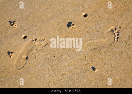 Ebbe. Fußspuren und Wurmabwürfe an einem Strand Stockfoto