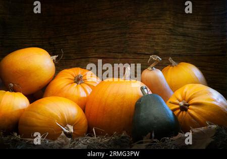 Herbstkürbisse auf Holzgrund als Dekoration für den Danktag Stockfoto