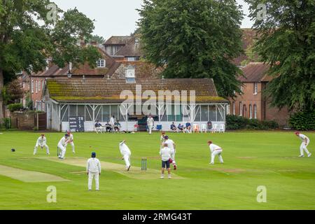 : Priory Park Cricket Club in Aktion Chichester West Sussex England Stockfoto