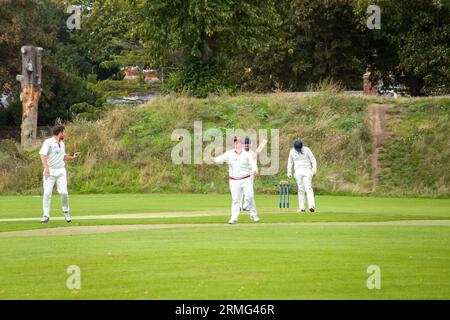 Priory Park Cricket Club in Aktion Chichester West Sussex England Stockfoto
