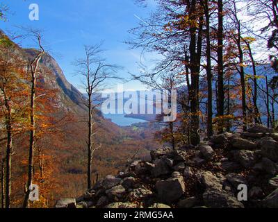 Blick auf den Bohinjer See in der slowenischen Region Gorenjska mit den Bäumen davor in gelben und orangen Herbst- oder Herbstfarben Stockfoto