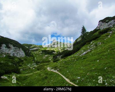 Alpenlandschaft bedeckt mit Gras und kriechenden Kiefern mit einem hohen Gipfel im Rücken auf dem Weg nach Prehodavci im Triglav Nationalpark und Julische alpen, SL Stockfoto