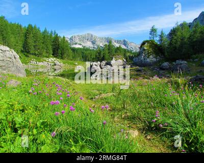 Doppelter See im Triglav-Tal oder Sieben-Seen-Tal im Triglav-Nationalpark und Julische alpen in der Region Gorenjska in Slowenien mit Wildhühnern (A Stockfoto