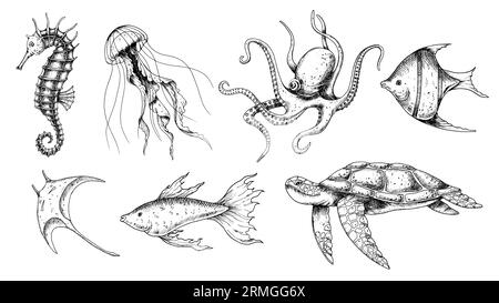 Unterwasser-Tiere gesetzt. Vektor-handgezeichnete Illustration von Seepferdchen und Quallen auf isoliertem Hintergrund im Umrissstil. Zeichnung von Meeresschildkröte und Oktopus. Gravur von Unterwasserfischen. Schwarze Tinten. Stock Vektor
