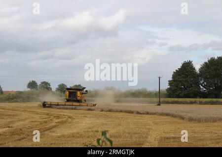 Ackerland in der Nähe von Airmyn in der Nähe der Boothferry Bridge im East Riding of Yorkshire UK. Ein Mähdrescher, der im späteren Sommer Weizen erntet Stockfoto