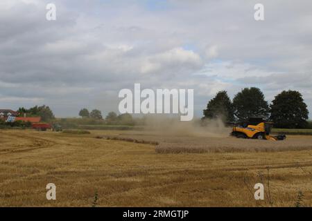 Ackerland in der Nähe von Airmyn in der Nähe der Boothferry Bridge im East Riding of Yorkshire UK. Ein Mähdrescher, der im späteren Sommer Weizen erntet Stockfoto