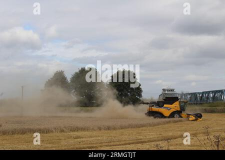 Ackerland in der Nähe von Airmyn in der Nähe der Boothferry Bridge im East Riding of Yorkshire UK. Ein Mähdrescher, der im späteren Sommer Weizen erntet Stockfoto