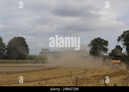 Ackerland in der Nähe von Airmyn in der Nähe der Boothferry Bridge im East Riding of Yorkshire UK. Ein Mähdrescher, der im späteren Sommer Weizen erntet Stockfoto