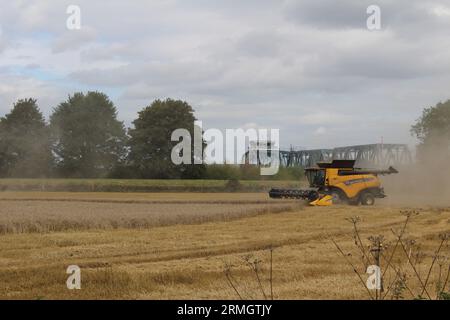 Ackerland in der Nähe von Airmyn in der Nähe der Boothferry Bridge im East Riding of Yorkshire UK. Ein Mähdrescher, der im späteren Sommer Weizen erntet Stockfoto