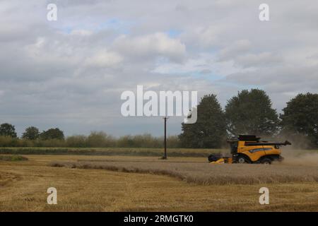 Ackerland in der Nähe von Airmyn in der Nähe der Boothferry Bridge im East Riding of Yorkshire UK. Ein Mähdrescher, der im späteren Sommer Weizen erntet Stockfoto