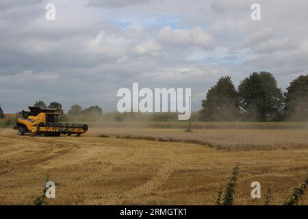 Ackerland in der Nähe von Airmyn in der Nähe der Boothferry Bridge im East Riding of Yorkshire UK. Ein Mähdrescher, der im späteren Sommer Weizen erntet Stockfoto