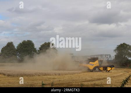 Ackerland in der Nähe von Airmyn in der Nähe der Boothferry Bridge im East Riding of Yorkshire UK. Ein Mähdrescher, der im späteren Sommer Weizen erntet Stockfoto