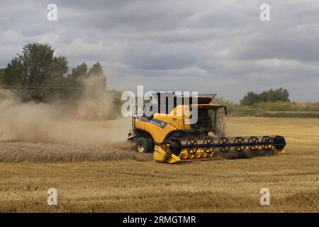 Ackerland in der Nähe von Airmyn in der Nähe der Boothferry Bridge im East Riding of Yorkshire UK. Ein Mähdrescher, der im späteren Sommer Weizen erntet Stockfoto