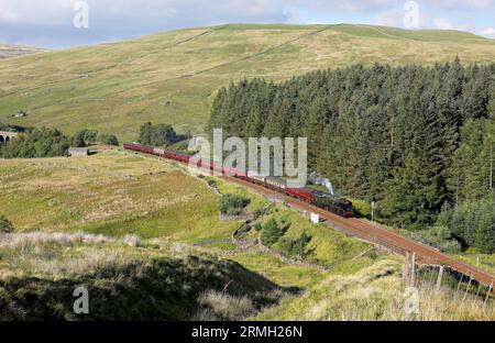 35018 „British India Lines“ passieren Dent Head auf der 10.8.23 mit der „Dalesman“-Tour nach York. Stockfoto