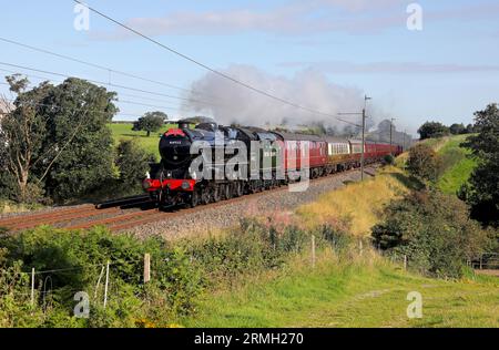 44932 Pässe Bay Horse auf 8.8.23 mit der Pendle Dalesman Tour nach Carlisle. Stockfoto