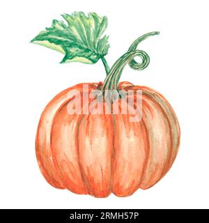 Aquarell Kürbis isolierte Illustration auf weißem Hintergrund. Herbstliches oranges Gemüse für Logo, Menü, Poster, Muster. Kunst für Design. Gesunde Ernährung Stockfoto