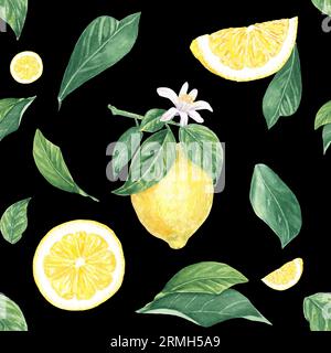 Wasserfarbenes, nahtloses Muster aus Zitrone, Scheiben, Blume, Blätter auf schwarzem Hintergrund, handbemalt im botanischen Stil, für Urlaub, Hochzeit, Essensgestaltung Stockfoto