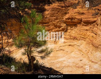 Abstrakt Rustrel Canyon ockerfarbene Klippen Landschaft. Provenzalisches Colorado in der Nähe von Roussillon, Südfrankreich. Stockfoto