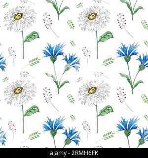 Nahtloses Aquarellmuster mit Kornblumen-Wildblumen auf weißem Hintergrund, handgemalte Illustration im botanischen Stil, Druckgewebe, Tapete Stockfoto