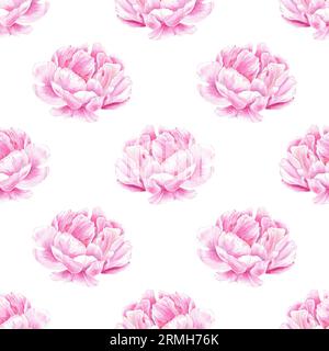 Nahtloses Wasserfarbenmuster Pfingstrose, Tulpe handgezeichnet in botanischem Stil für den Einsatz in Textilien, Hochzeitsverpackungen, Urlaub und Natur Design Einladung Stockfoto