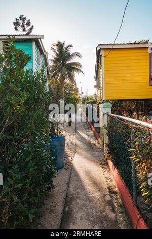 Ein Fußweg zwischen Bäumen und Holzbungalows auf Stelzen in der Strandstadt Placencia, Belize Stockfoto